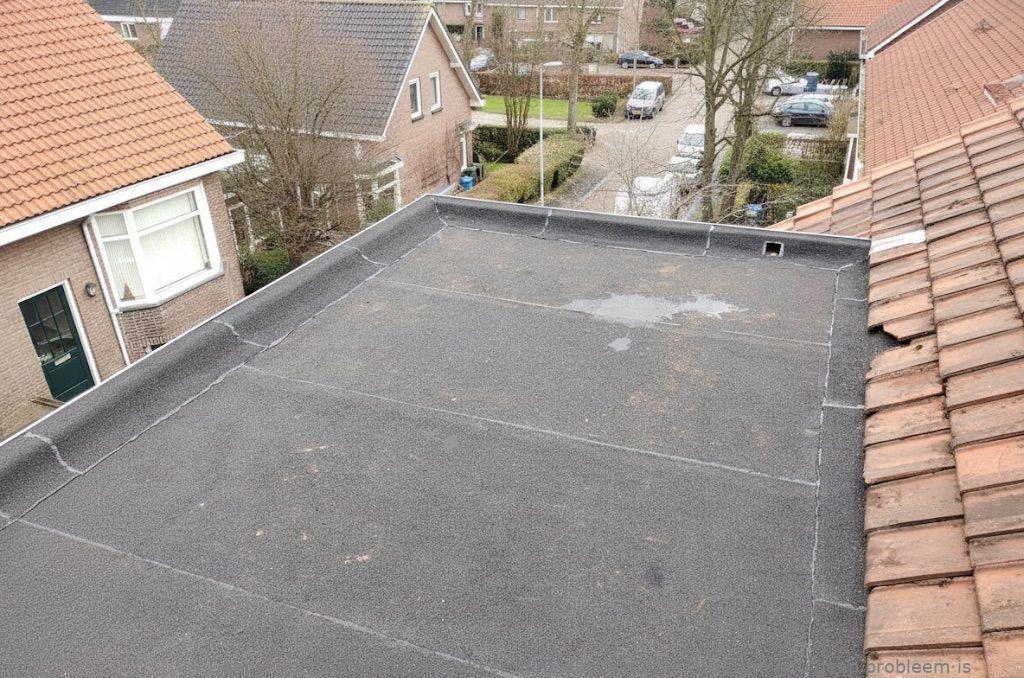 Dakdekker In Najaar Someren