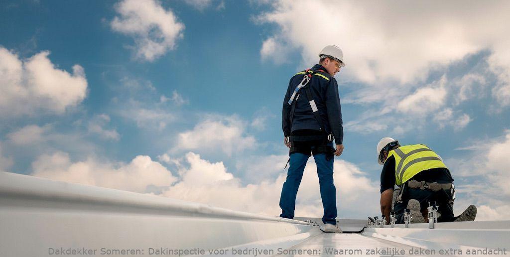Dakinspectie Voor Bedrijven Someren