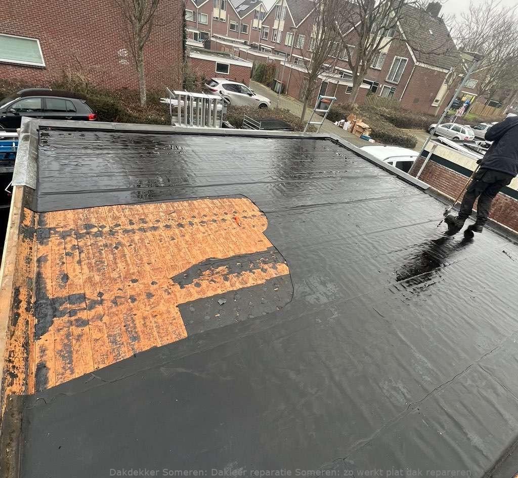 Dakleer Reparatie Someren