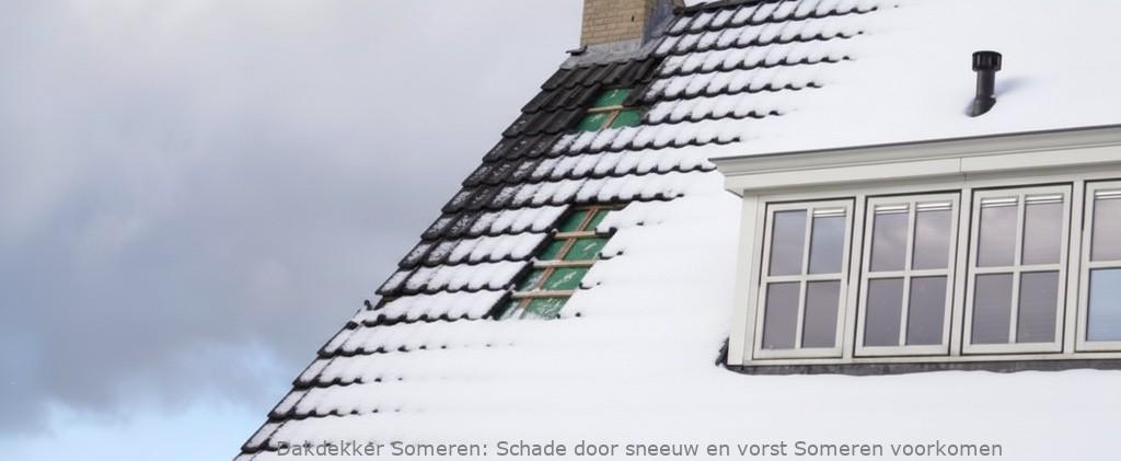 Schade Door Sneeuw En Vorst Someren